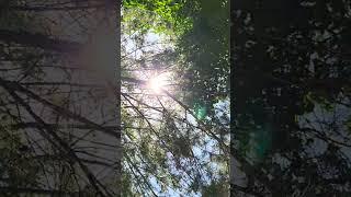 Feel the nature #nature #travel #youtubeshorts