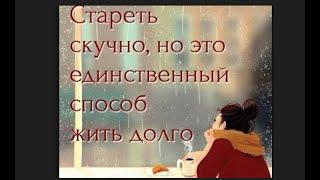Совет - не всегда реклама! Стрим №368 (10/01/2025)