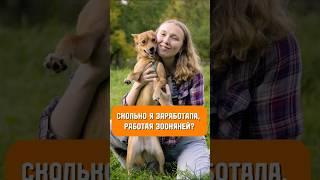 Сколько я заработала, работая зооняней? #собака #профессия
