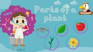 PARTS OF A PLANT | SCIENCE | GRADE 1| SHAHEEN DIGIKIDS