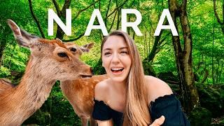 24 Hours in NARA Japan  What to see, do & eat!