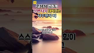 혼자서 편하게 살면! 더 대박나는 사주팔자 띠. 혼자서도 멋지고 폼나게 잘 살아가십니다  #풍수 #운세 #사주