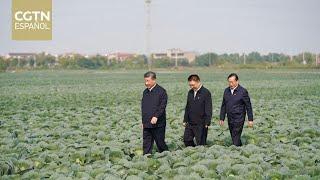 Xi Jinping inspecciona la provincia de Hubei