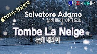 [샹송듣기] Salvatore Adamo - Tombe La Neige (눈이 내리네) [한글가사/번역/해석]