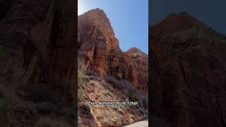 #lifestyle #tattoo #viralvideo #travel #trending #hiking #tattooartist #shorts #grandcanyon