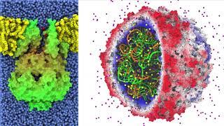 Scalable Molecular Visualization and Analysis Tools with VMD ǀ John Stone, UIUC