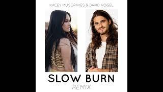 Kacey Musgraves & David Vogel - Slow Burn (Remix)