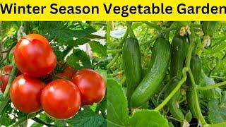 Winter Vegetable Gardening At Home / How To Grow Winter Vegetables At Home