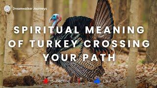 Spiritual Meaning of Turkey Crossing Your Path | Turkey Spiritual Meaning