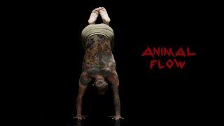 Animal Flow: Transcend