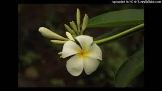 Stephen Rutherford - Miss Niue