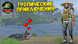  DayZ "Тропические приключения" / P.T.I. / Карта - Deer Isle