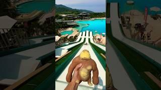 Cuddly Monkey Has The Best Day At The Waterpark