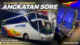 LAJU PRIMA TEAM PONOROGO YANG JARANG TEREKSPOS‼️ TIMETABLENYA BAGUS PALING CEPAT | Trip LP 239