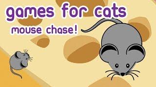 CAT GAMES - Videos for Cats entertainment catching Mice (mouse hunt)