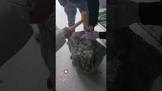 礦區突降巨石 男子撿漏帶走 一刀切開 跪地痛哭 #翡翠 #古玉收藏 #大熱門 #翡翠手鐲 #原石