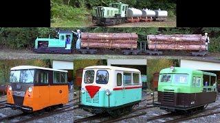 Forest Narrow Railway Festival in Japan