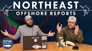 The BEST Marlin Fishing Ever? | Northeast Offshore Fishing Report | September 4, 2024