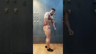 Bodybuilder posing