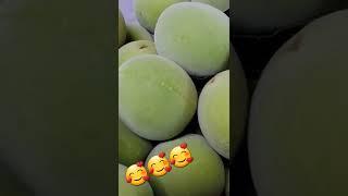 하동매실~