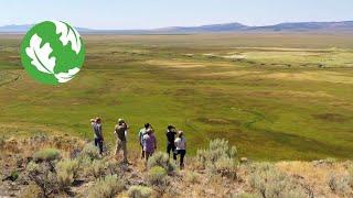 The Sagebrush Sea