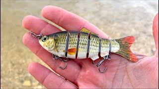 Weird Lure Challenge in a SMALL Italian River - Early season fishing for an endemic predator