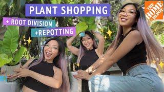 PLANT SHOPPING + REPOTTING   HOME DEPOT BIG BOX STORE houseplants for sale in Southern California