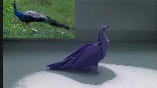 Origami peacock /оригами павлин