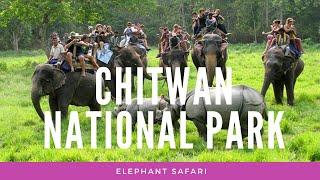 Chitwan national park | Jungle safari Nepal/ elephant safari