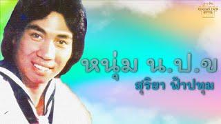 หนุ่ม น.ป.ข - สุริยา ฟ้าปทุม [Official Audio] | รวมฮิตตลับทอง