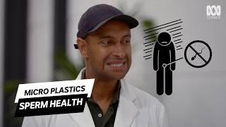 Your Sperm vs Everyday Plastics: The Hidden Chemical War