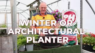 How to Create a Winter or Architectural Planter for the Garden | Step-by-Step Guide