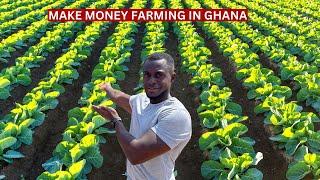 How To Create A Successful Agricultural Business In Ghana