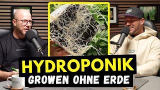 Growen ohne Erde - Was du vom Profi über Hydro lernen kannst!