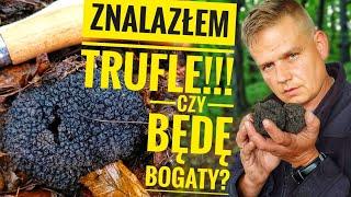 Znalazłem trufle!! Czy będę bogaty? I z czym je ludzie mylą.