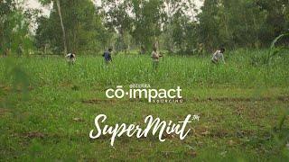 Co-Impact Sourcing | doTERRA SuperMint