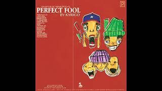 KYRIGO - Perfect Fool [VINTAGE SAMPLE PACK]