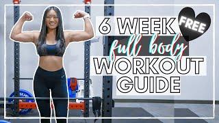 WEEK TWO | DB-Only Beginner Full Body