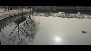 SONY a7Siii 公园的早晨 （尝试着套用“一婶是Ethan”开发的LUT）