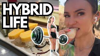 14 Mile Trail Run, a New PR & Foster Kitten Love | Weekly Vlog