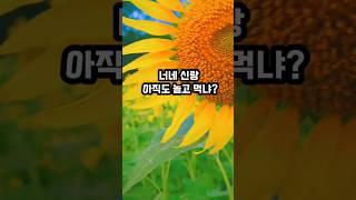 역할이 바뀐 부부
