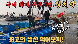 국내 최대 규모 1번 정치망! 초대형 그물에서 잡히는 최고의 생선을 먹어보자! (리얼깽TV 임포수형님)