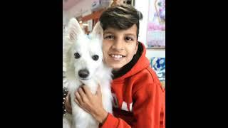 Piyush Joshi on fire  #shorts #souravjoshivlogs #piyushjoshi #viral