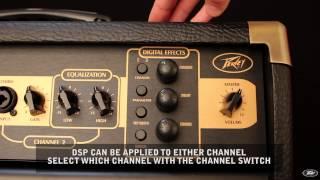Peavey Ecoustic E110