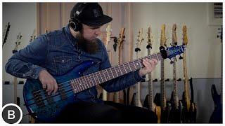 Ibanez ADAM NITTI Signature Basses