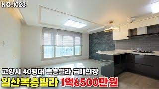 고양시 일산복층빌라 1억6500만원 초급매현장