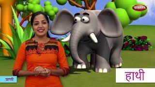 Animal Names in Hindi | हिंदी में प्राणियों के नाम सीखे | Hindi Animal Names For Children