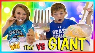 TINY THINGS VS GIANT THINGS | SWITCH UP | We Are The Davises