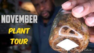 November Plant Tour