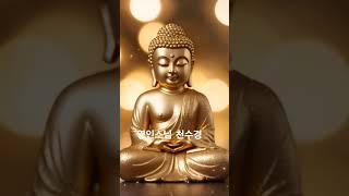 영인스님 1천만독 천수경 한가지 소원은 반드시 이루어진다 #buddha #healing #relax #염불 #독경